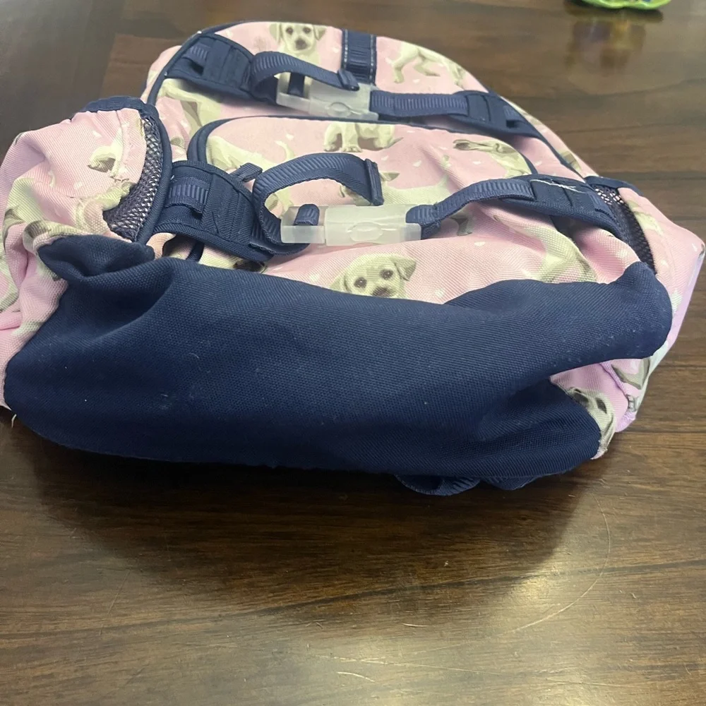 Sweet Pottery Barn Girl’s Puppy Backpack